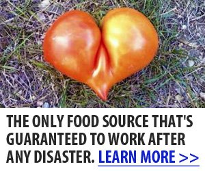 The Only Food Source That's Guaranteed To Work After Any Disaster